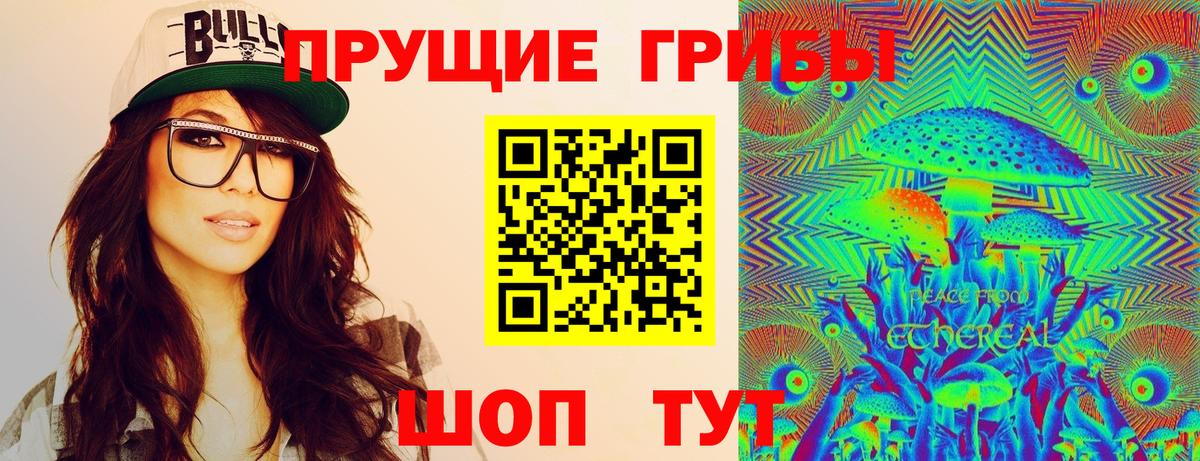 Галлюциногенные грибы Psilocybe Щёлково