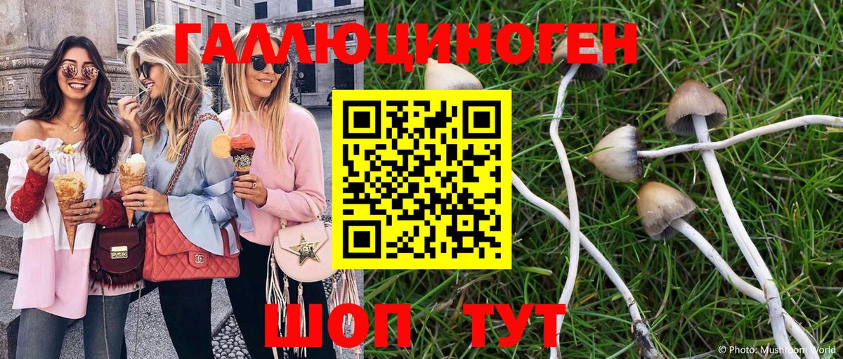 цены   Вход с VPN  Щёлково  Галлюциногенные грибы ЛСД 